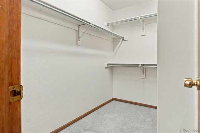1320 Basseterre Place, Fort Collins, CO 80525