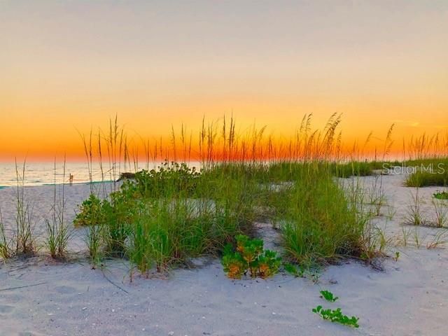 9200 LITTLE GASPARILLA 304, Placida, FL 33946