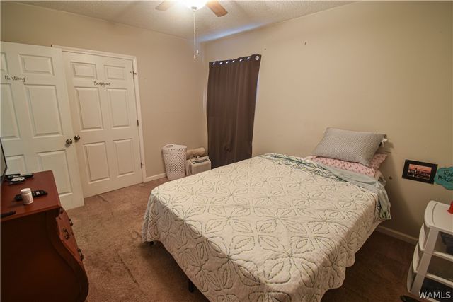 313 26th E, Tuscaloosa, AL 35404