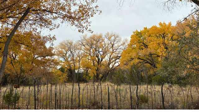 26 Private Drive 1618A, Abiquiu, NM 87510