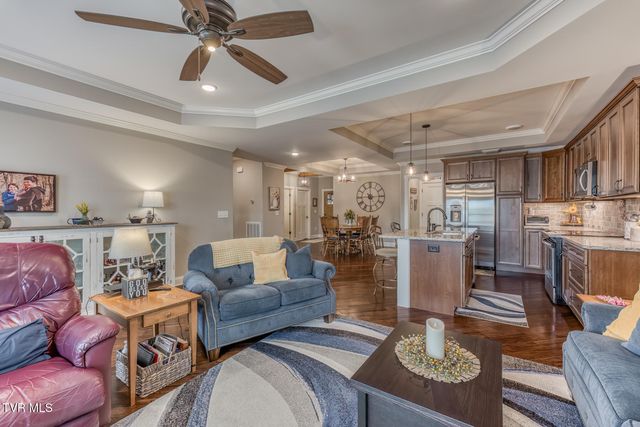 37 Grist Mill Court 37, Gray, TN 37615