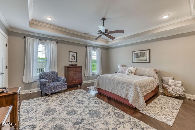 37 Grist Mill Court 37, Gray, TN 37615