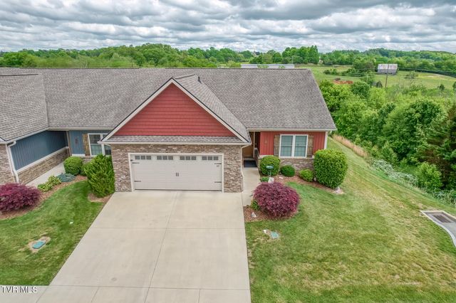 37 Grist Mill Court 37, Gray, TN 37615