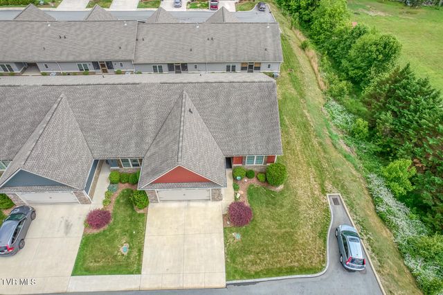 37 Grist Mill Court 37, Gray, TN 37615