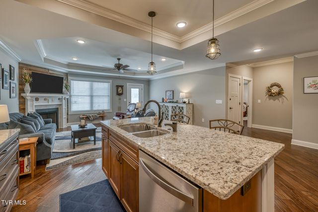 37 Grist Mill Court 37, Gray, TN 37615