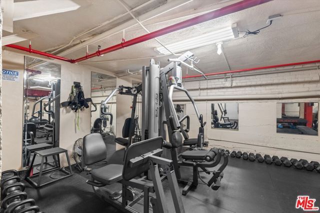 4125 S Figueroa Street 302, Los Angeles, CA 90037