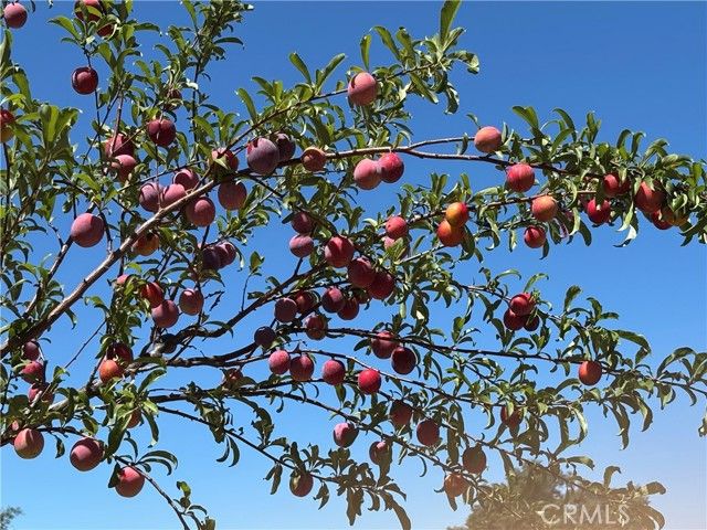 44845 Benton Road, Hemet, CA 92544