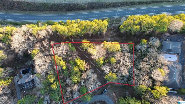 0 OLD ROCKFORD ROAD, Sylacauga, AL 35150