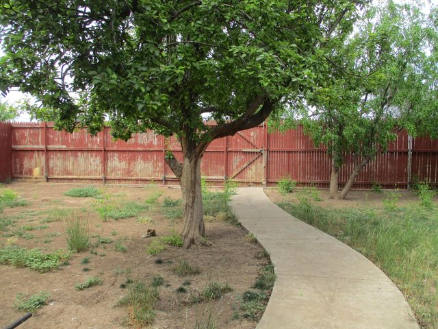 2033 IRIS Street, Amarillo, TX 79107
