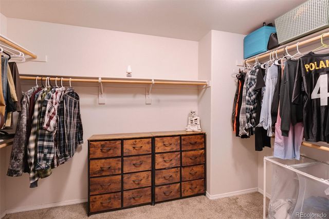 9509 Bur Oak Lane, Colorado Springs, CO 80925