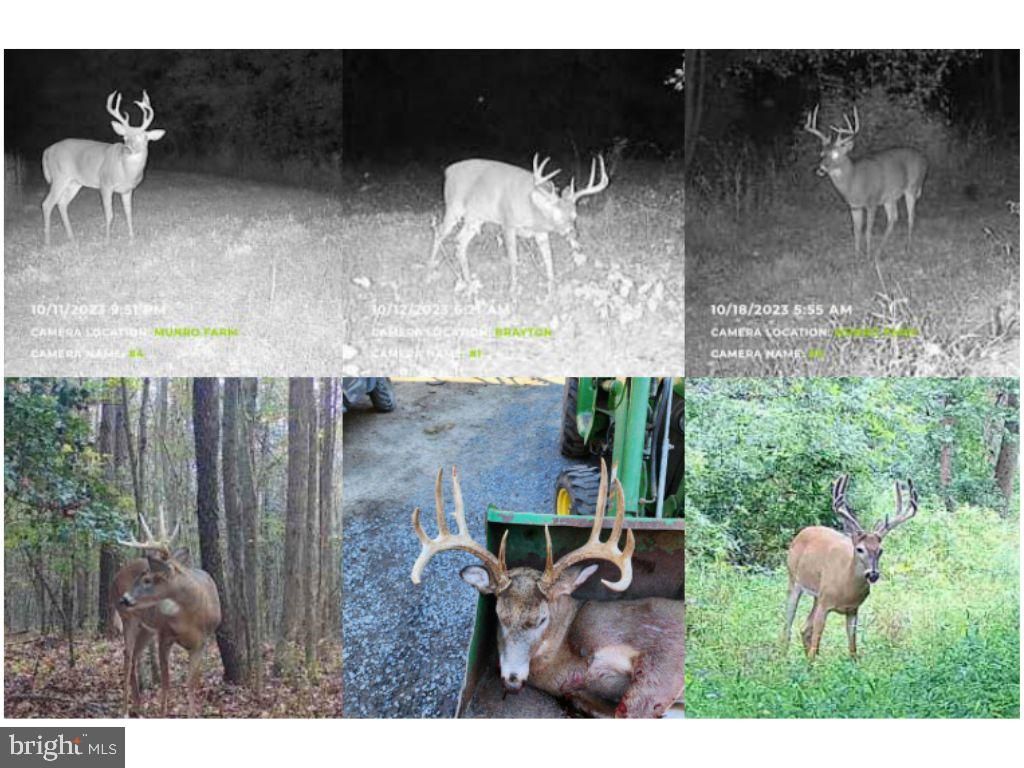 RIVER ROAD, Ridgely, MD 21660