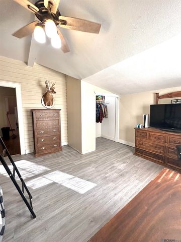 19647 Perrilloux Rd, Livingston, LA 70754