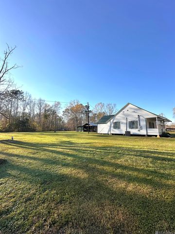 19647 Perrilloux Rd, Livingston, LA 70754