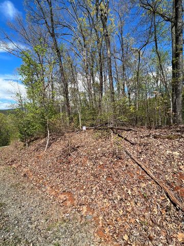 33 35 36 J Ash Branch, Hayesville, NC 28904