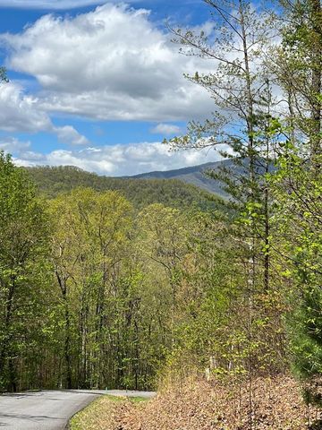 33 35 36 J Ash Branch, Hayesville, NC 28904