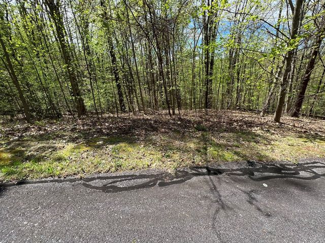 33 35 36 J Ash Branch, Hayesville, NC 28904
