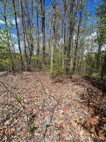 33 35 36 J Ash Branch, Hayesville, NC 28904