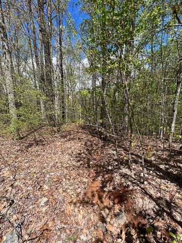 33 35 36 J Ash Branch, Hayesville, NC 28904