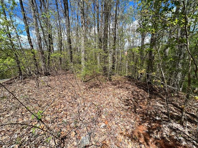 33 35 36 J Ash Branch, Hayesville, NC 28904