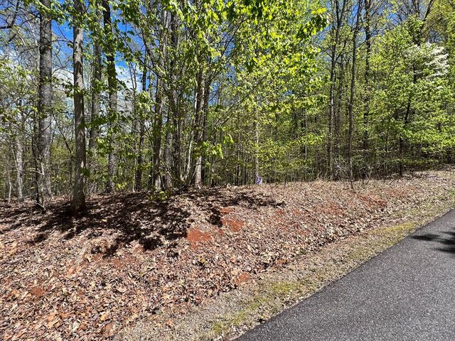 33 35 36 J Ash Branch, Hayesville, NC 28904