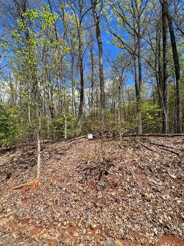 33 35 36 J Ash Branch, Hayesville, NC 28904