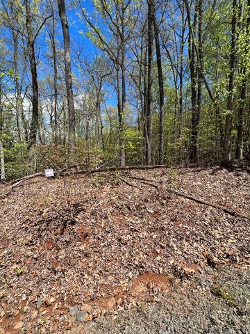 33 35 36 J Ash Branch, Hayesville, NC 28904
