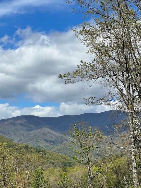33 35 36 J Ash Branch, Hayesville, NC 28904
