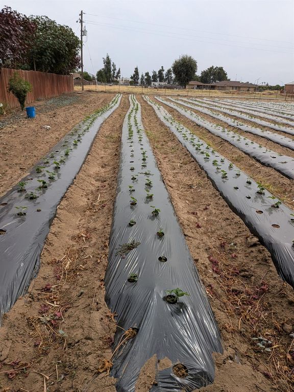 Image 18 of property listing at 284 S Temperance Avenue, Fresno, CA 93727