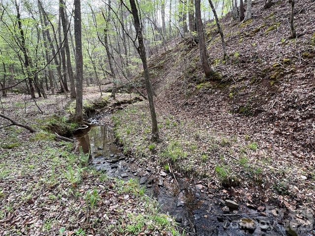 391 Clearwater Parkway, Rutherfordton, NC 28139
