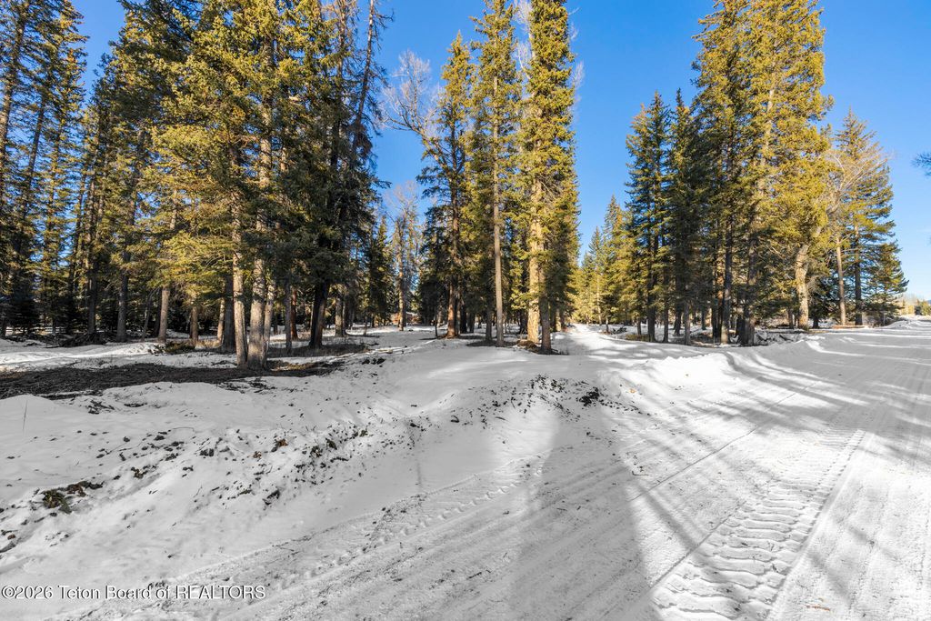 455 E BUCK MOUNTAIN Road, Jackson, WY 83001 photo 16