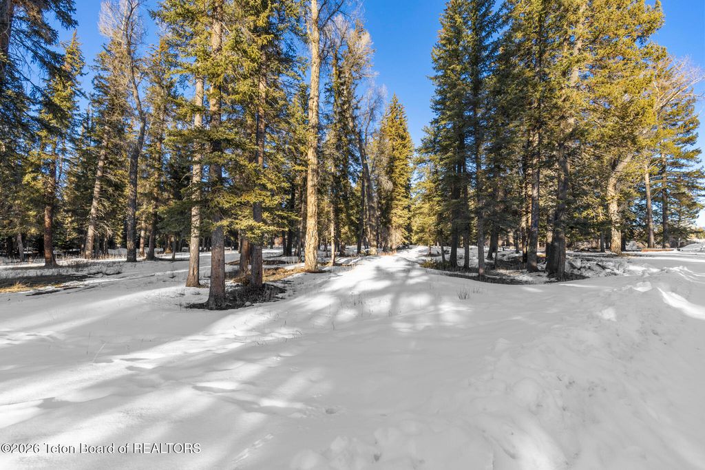 455 E BUCK MOUNTAIN Road, Jackson, WY 83001 photo 18