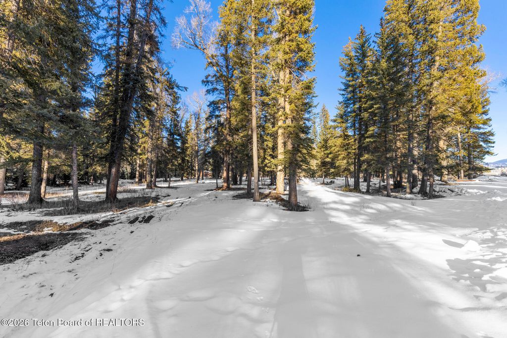 455 E BUCK MOUNTAIN Road, Jackson, WY 83001 photo 19