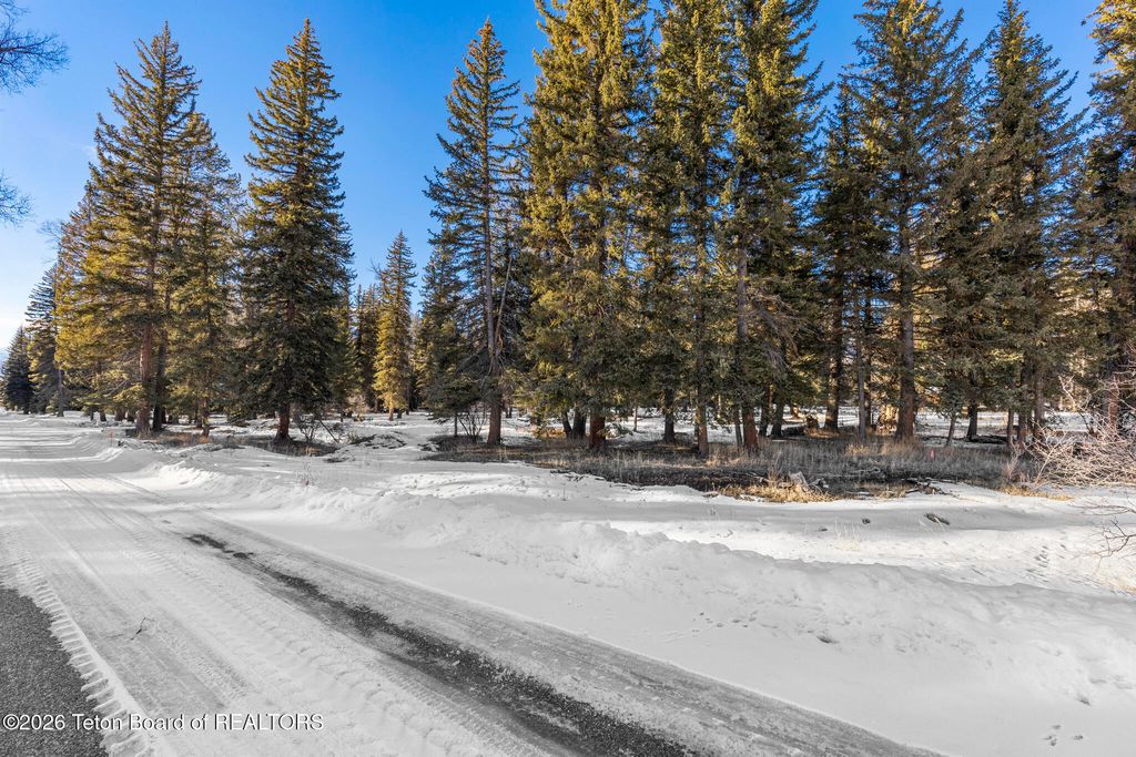 455 E BUCK MOUNTAIN Road, Jackson, WY 83001 photo 21