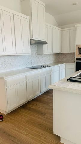 507 Covington Cove, Princeton, TX 75407