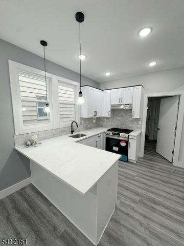 47 Aldine St, Newark City, NJ 07112