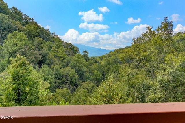 919 Grey Fox Trail, Gatlinburg, TN 37738