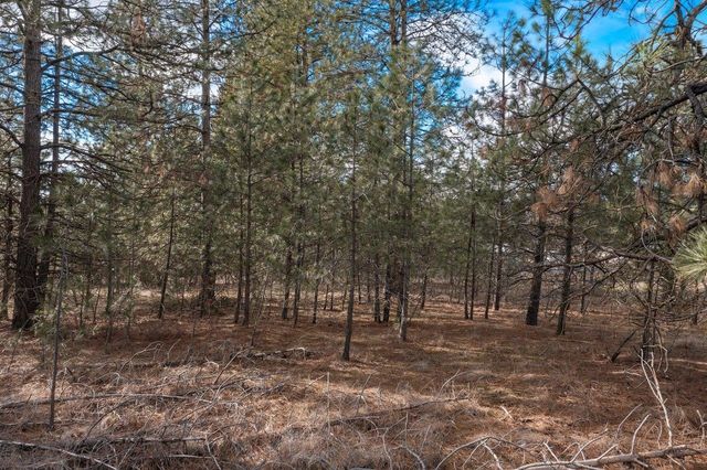 XXX N Boston Rd, Colbert, WA 99005