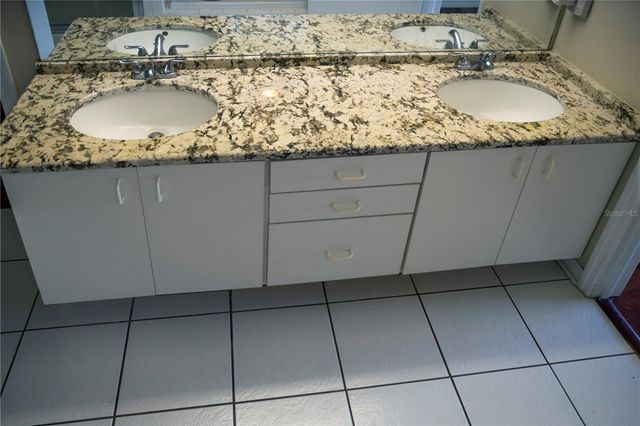 29841 MORNINGMIST DRIVE, Wesley Chapel, FL 33543