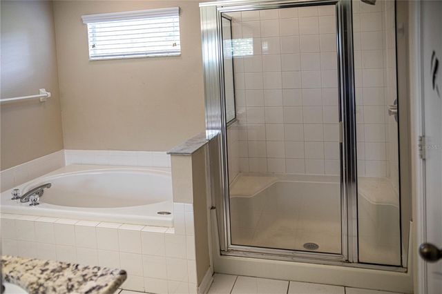 29841 MORNINGMIST DRIVE, Wesley Chapel, FL 33543