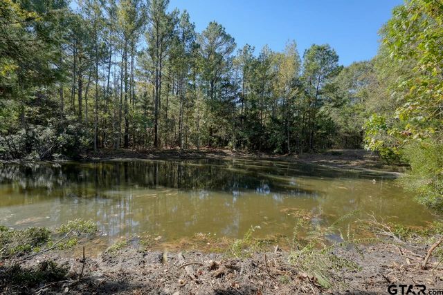 8477 S FM 14, Hawkins, TX 75765