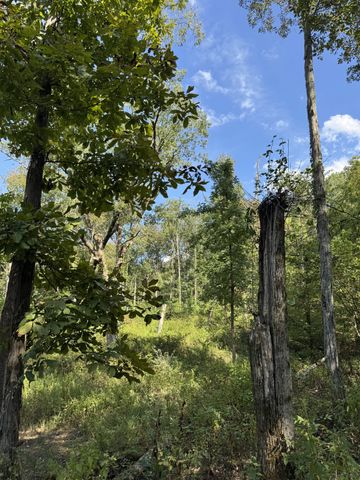 905 Chapel Hill Pike, Eagleville, TN 37060