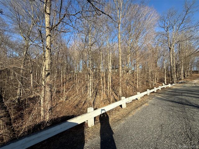 217 Brittany Terrace 217, Rock Tavern, NY 12575