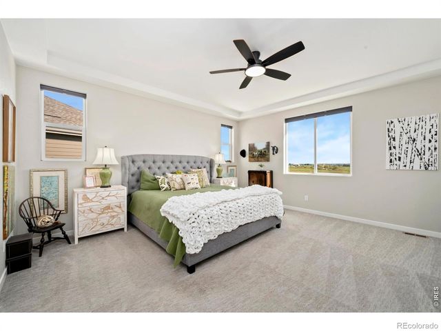 1829 Holloway Drive, Windsor, CO 80550