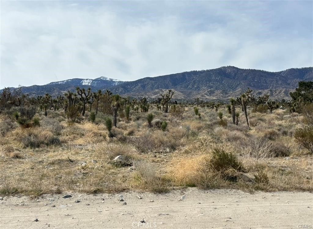 0 Mono Road, Pinon Hills, CA 92372