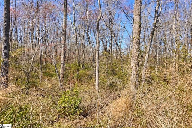 727 Wayfinder Run, Inman, SC 29349