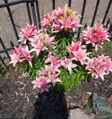 107 S 4th St, Bayfield, WI 54814