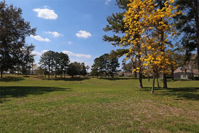 8211 FAN PALM WAY, Kissimmee, FL 34747