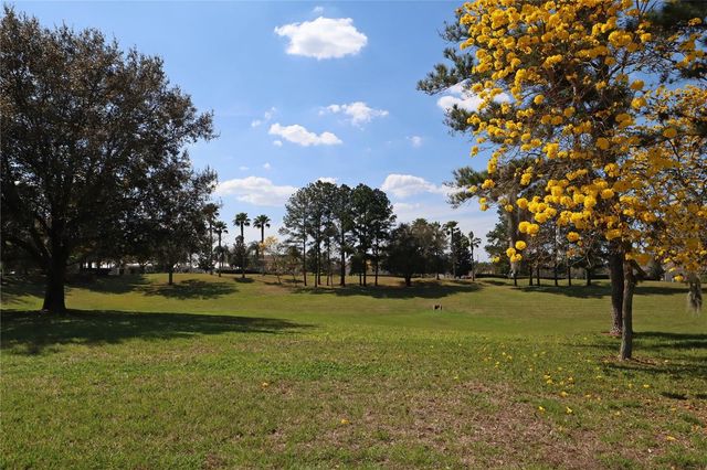 8211 FAN PALM WAY, Kissimmee, FL 34747