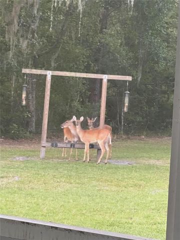 163 NW AMBER COURT, Lake City, FL 32055