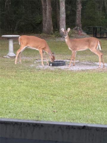 163 NW AMBER COURT, Lake City, FL 32055